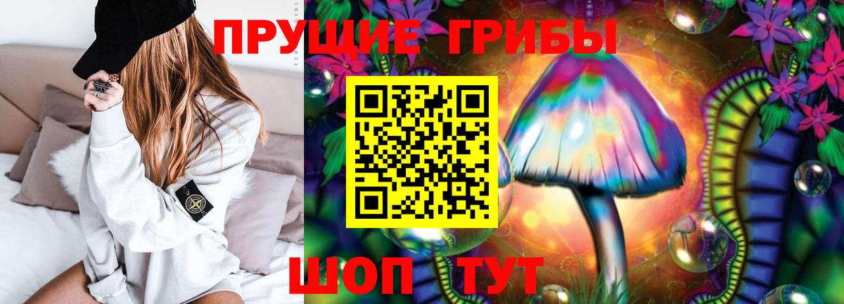 Псилоцибиновые грибы Cubensis Ухта